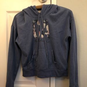 blue hollister hoodie